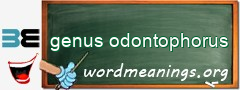 WordMeaning blackboard for genus odontophorus